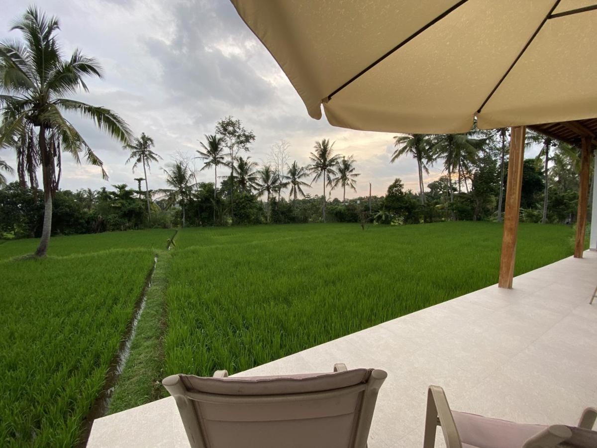 Luxury Villa Ada Padi Ubud One Bed Room Exteriör bild